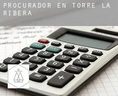 Procurador en  Torre la Ribera