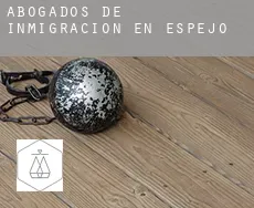 Abogados de inmigración en  Espejo