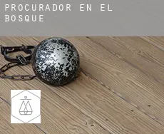 Procurador en  El Bosque