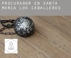 Procurador en  Santa María de los Caballeros