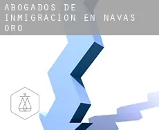 Abogados de inmigración en  Navas de Oro