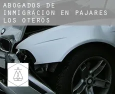 Abogados de inmigración en  Pajares de los Oteros