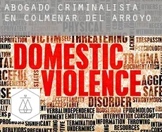 Abogado criminalista en  Colmenar del Arroyo